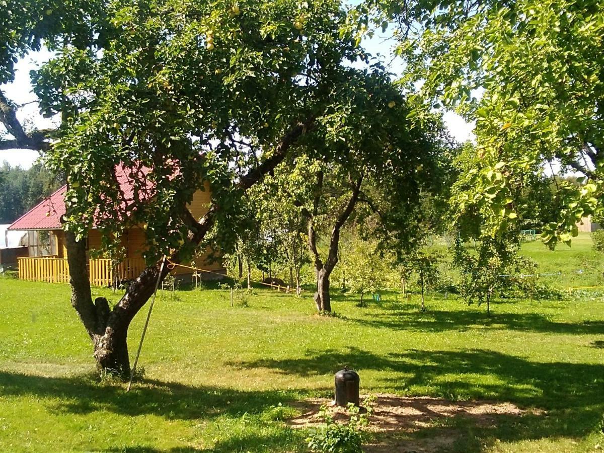 Ceslovos Sodyba Zarasai Exteriör bild
